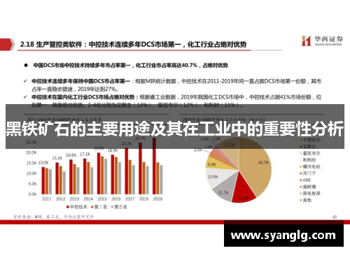 黑铁矿石的主要用途及其在工业中的重要性分析