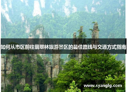如何从市区前往翡翠林旅游景区的最佳路线与交通方式指南