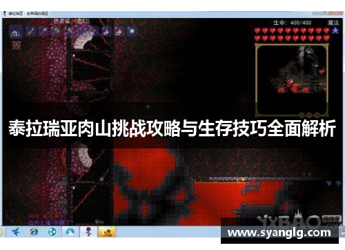 泰拉瑞亚肉山挑战攻略与生存技巧全面解析